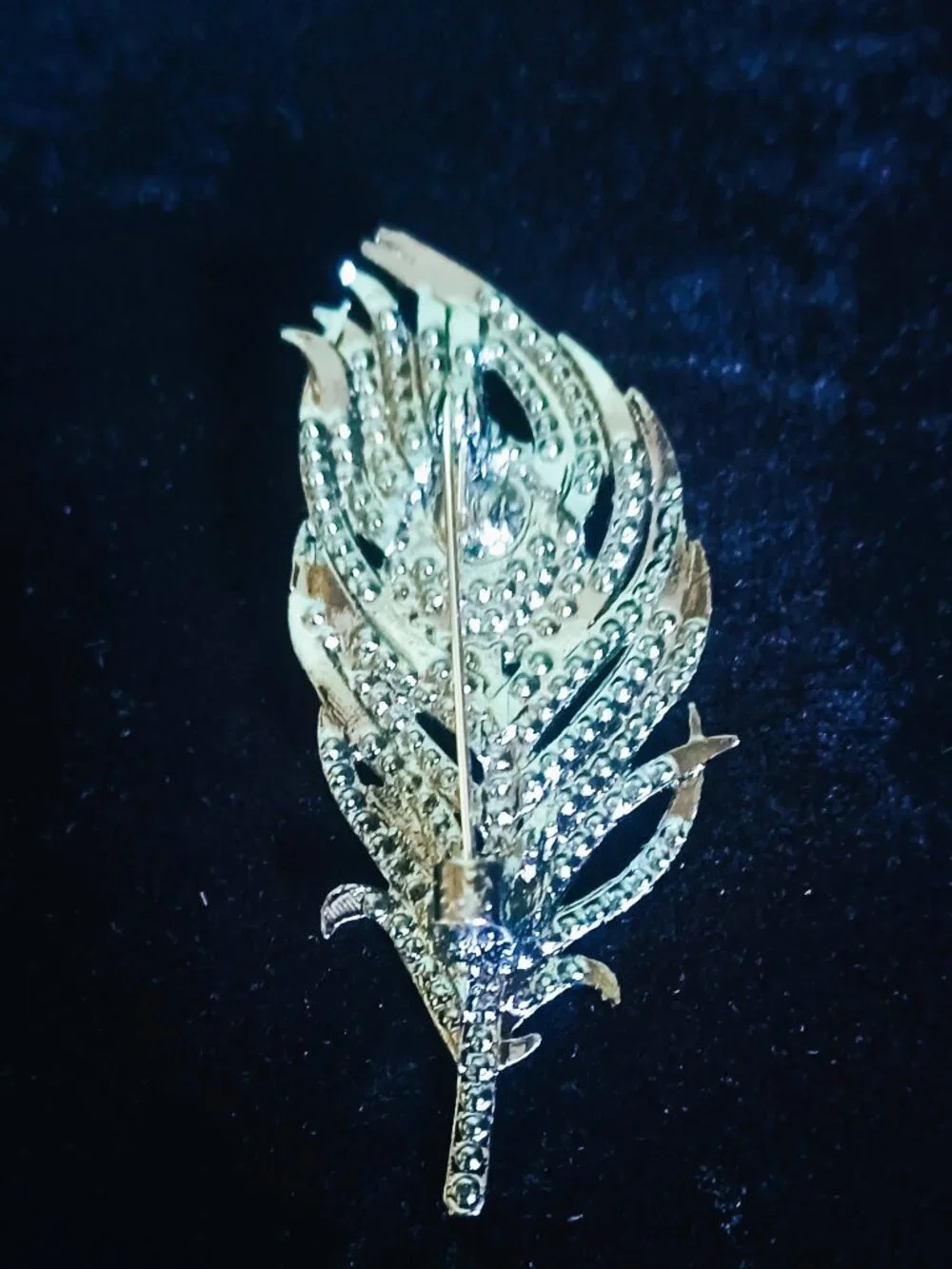 Gorgeous Feather Brooch